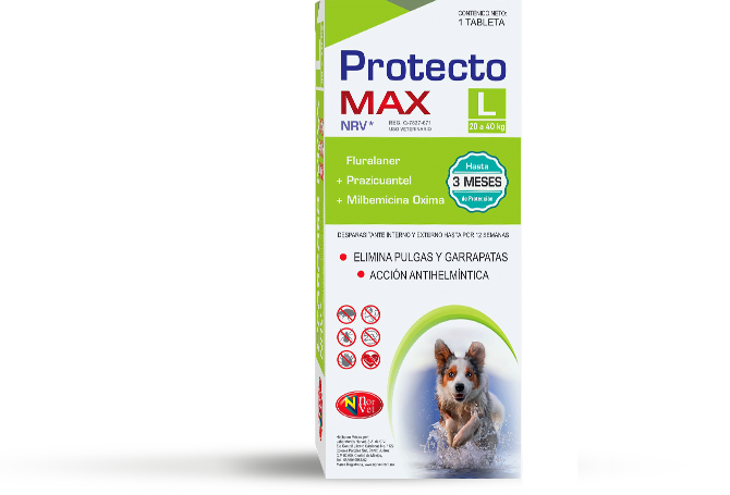 protecto-max
