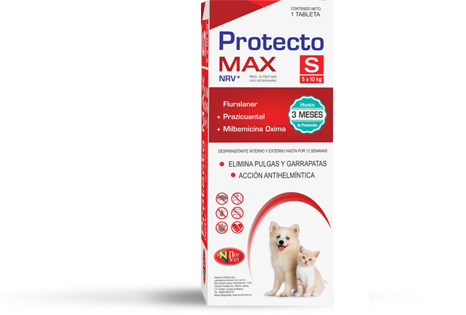protecto-max